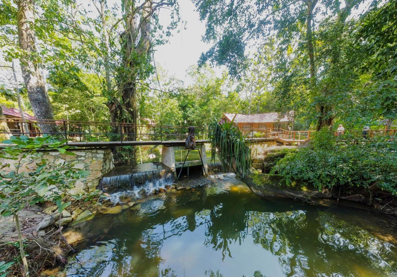 Cabanas Kin Balam Palenque Otel Dış mekan fotoğraf