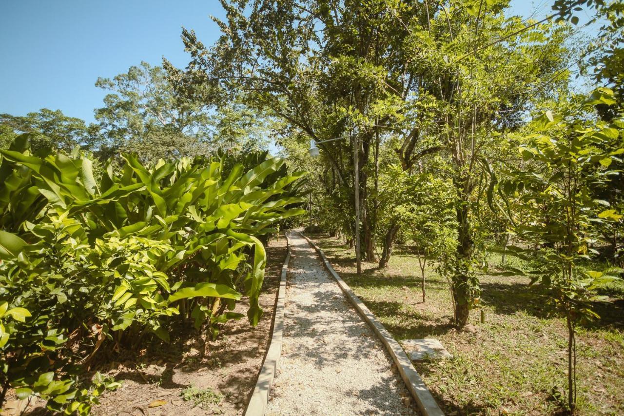 Cabanas Kin Balam Palenque Otel Dış mekan fotoğraf